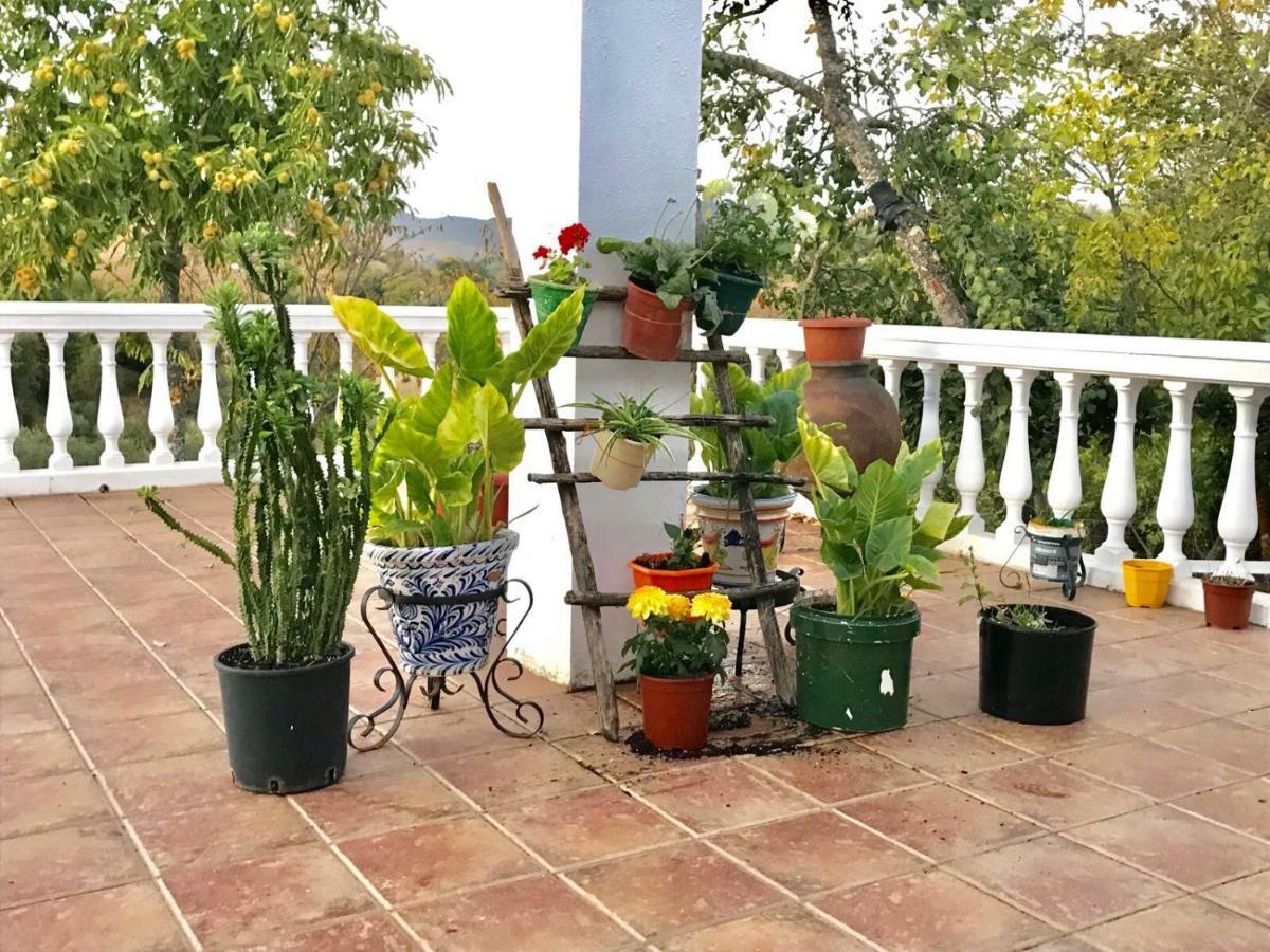 Casa Rural En กอนสแตนตินา ภายนอก รูปภาพ